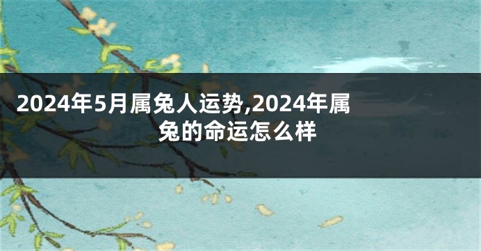 2024年5月属兔人运势,2024年属兔的命运怎么样