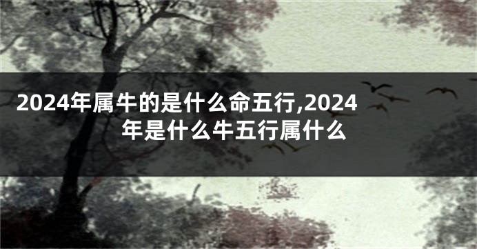 2024年属牛的是什么命五行,2024年是什么牛五行属什么