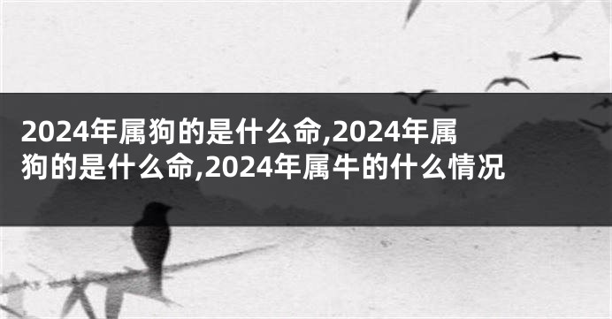 2024年属狗的是什么命,2024年属狗的是什么命,2024年属牛的什么情况