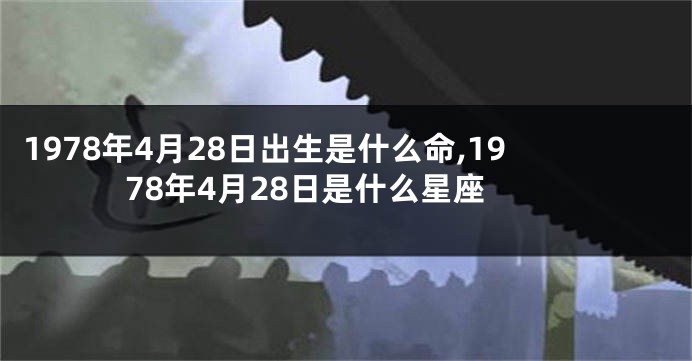 1978年4月28日出生是什么命,1978年4月28日是什么星座