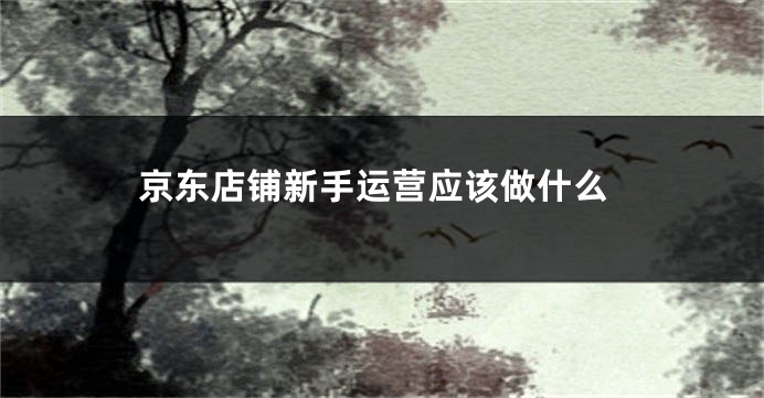 京东店铺新手运营应该做什么