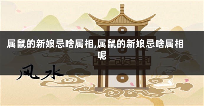 属鼠的新娘忌啥属相,属鼠的新娘忌啥属相呢