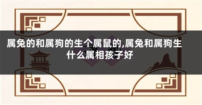 属兔的和属狗的生个属鼠的,属兔和属狗生什么属相孩子好