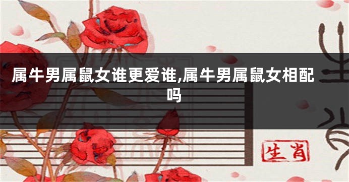 属牛男属鼠女谁更爱谁,属牛男属鼠女相配吗