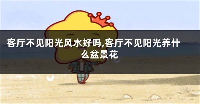 客厅不见阳光风水好吗,客厅不见阳光养什么盆景花