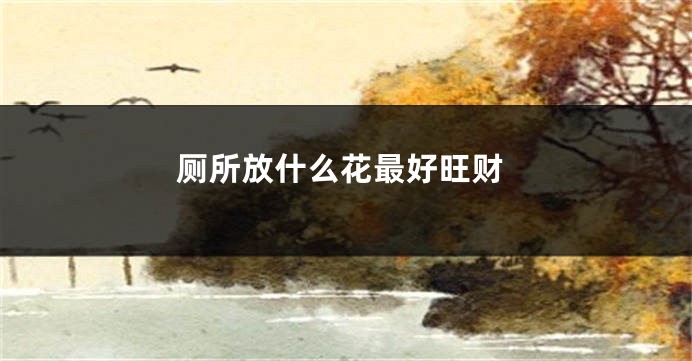 厕所放什么花最好旺财