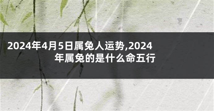 2024年4月5日属兔人运势,2024年属兔的是什么命五行