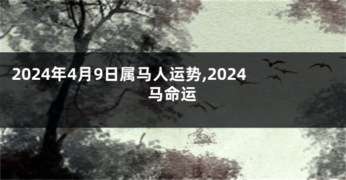 2024年4月9日属马人运势,2024马命运
