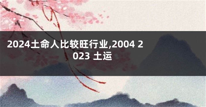 2024土命人比较旺行业,2004 2023 土运