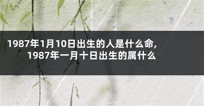 1987年1月10日出生的人是什么命,1987年一月十日出生的属什么