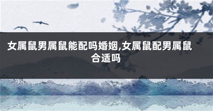 女属鼠男属鼠能配吗婚姻,女属鼠配男属鼠合适吗