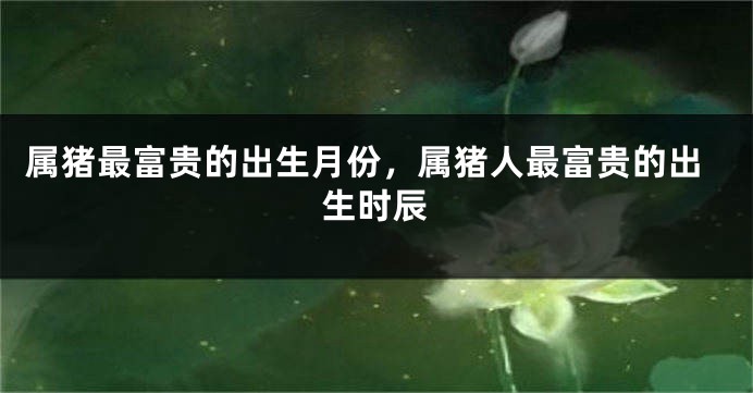 属猪最富贵的出生月份，属猪人最富贵的出生时辰