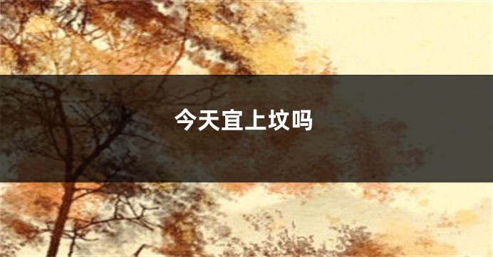 今天宜上坟吗