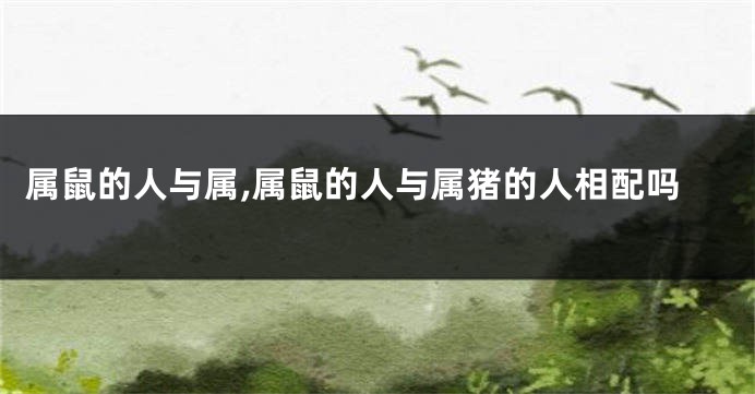 属鼠的人与属,属鼠的人与属猪的人相配吗