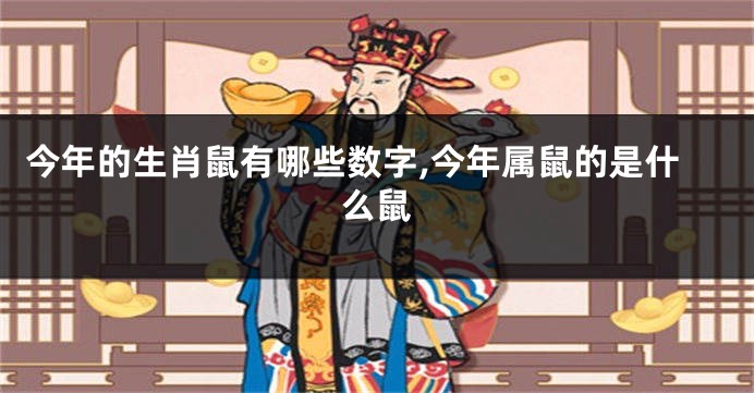 今年的生肖鼠有哪些数字,今年属鼠的是什么鼠