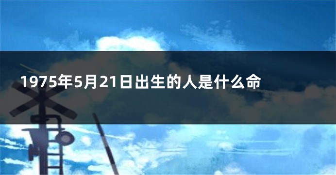 1975年5月21日出生的人是什么命