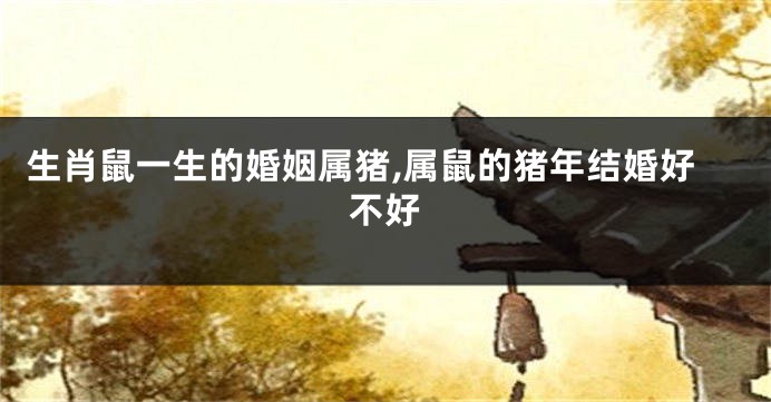 生肖鼠一生的婚姻属猪,属鼠的猪年结婚好不好
