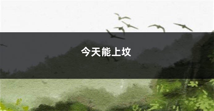 今天能上坟