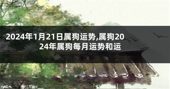 2024年1月21日属狗运势,属狗2024年属狗每月运势和运