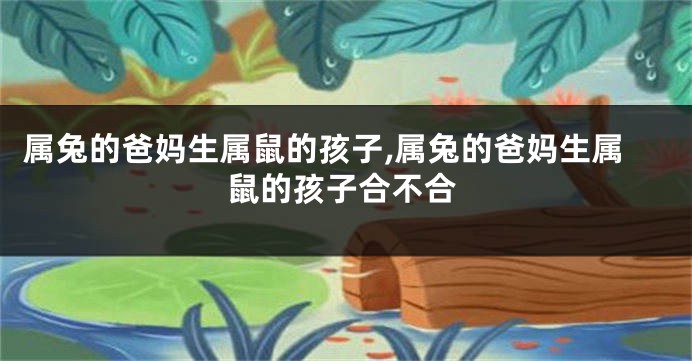 属兔的爸妈生属鼠的孩子,属兔的爸妈生属鼠的孩子合不合