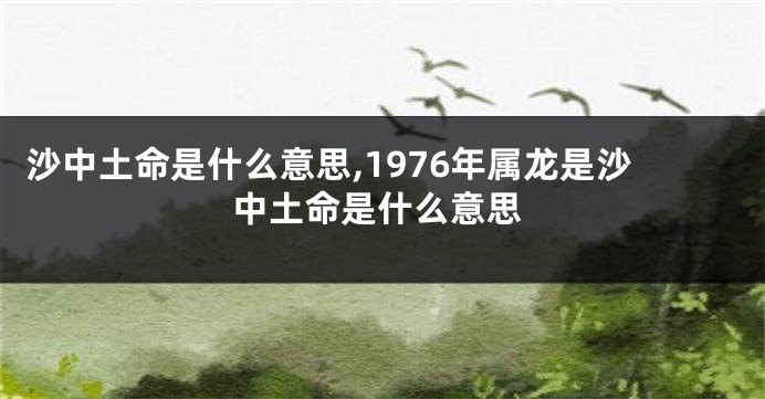 沙中土命是什么意思,1976年属龙是沙中土命是什么意思