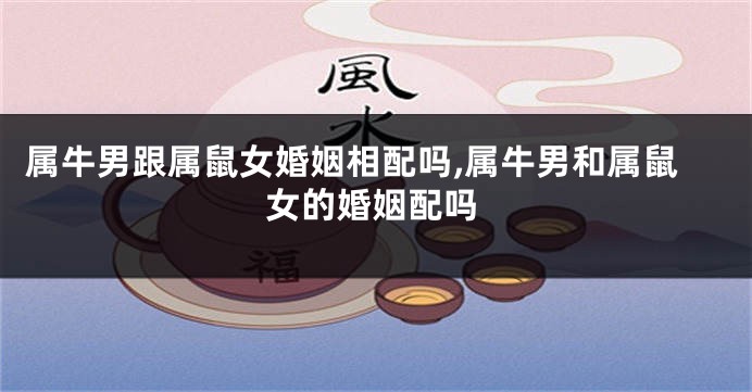 属牛男跟属鼠女婚姻相配吗,属牛男和属鼠女的婚姻配吗