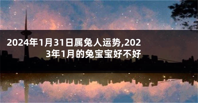 2024年1月31日属兔人运势,2023年1月的兔宝宝好不好
