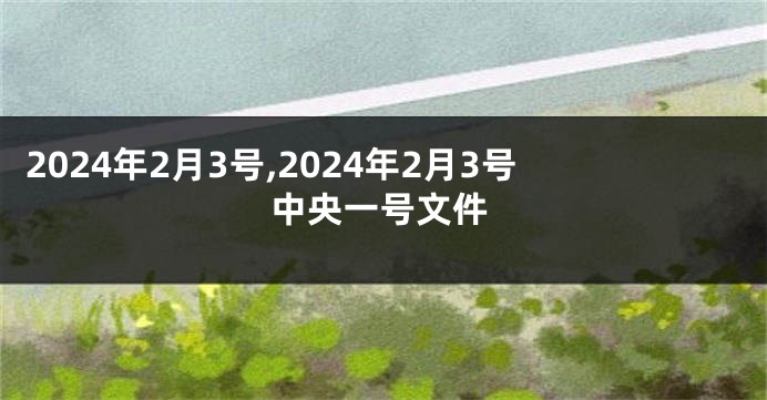 2024年2月3号,2024年2月3号中央一号文件