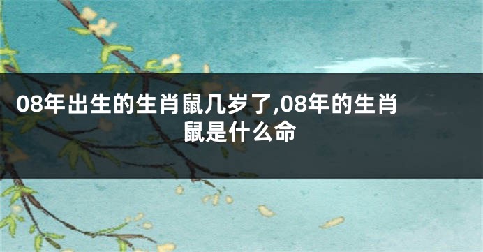 08年出生的生肖鼠几岁了,08年的生肖鼠是什么命