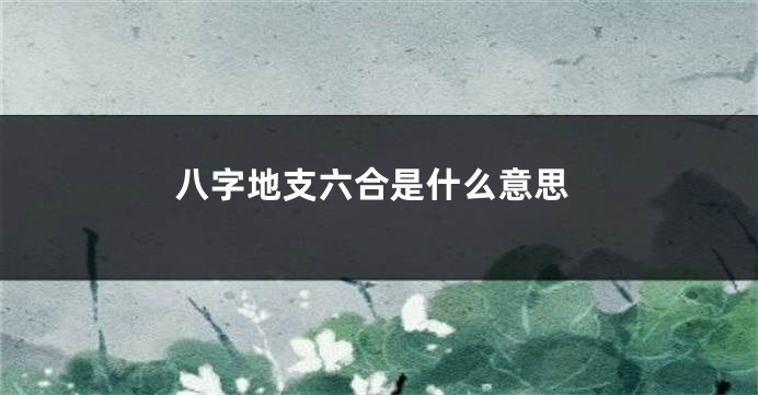 八字地支六合是什么意思