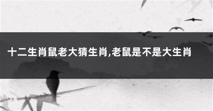 十二生肖鼠老大猜生肖,老鼠是不是大生肖