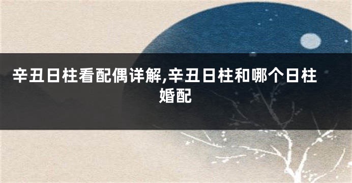 辛丑日柱看配偶详解,辛丑日柱和哪个日柱婚配