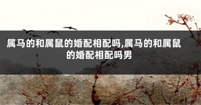 属马的和属鼠的婚配相配吗,属马的和属鼠的婚配相配吗男