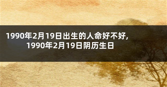 1990年2月19日出生的人命好不好,1990年2月19日阴历生日