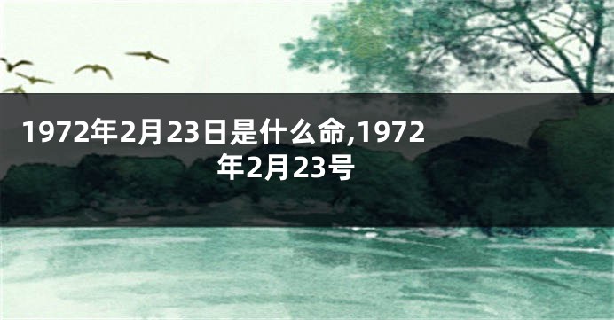 1972年2月23日是什么命,1972年2月23号