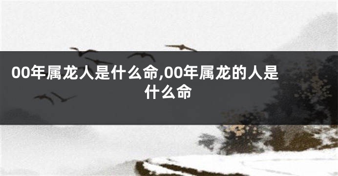 00年属龙人是什么命,00年属龙的人是什么命