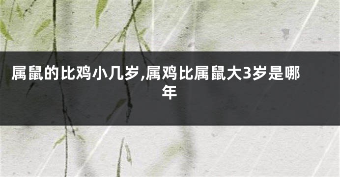 属鼠的比鸡小几岁,属鸡比属鼠大3岁是哪年