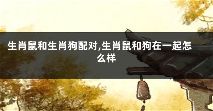 生肖鼠和生肖狗配对,生肖鼠和狗在一起怎么样