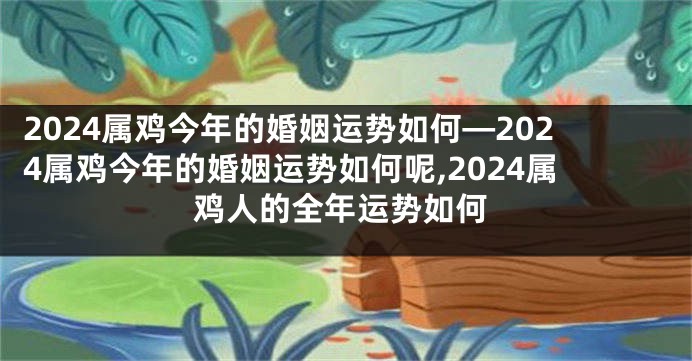 2024属鸡今年的婚姻运势如何—2024属鸡今年的婚姻运势如何呢,2024属鸡人的全年运势如何