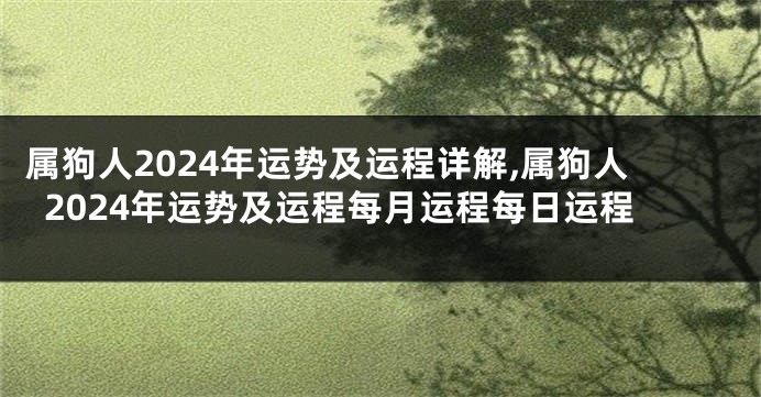 属狗人2024年运势及运程详解,属狗人2024年运势及运程每月运程每日运程