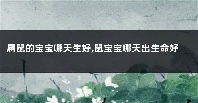 属鼠的宝宝哪天生好,鼠宝宝哪天出生命好