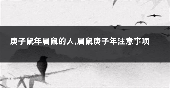 庚子鼠年属鼠的人,属鼠庚子年注意事项