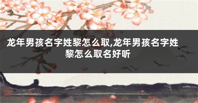 龙年男孩名字姓黎怎么取,龙年男孩名字姓黎怎么取名好听