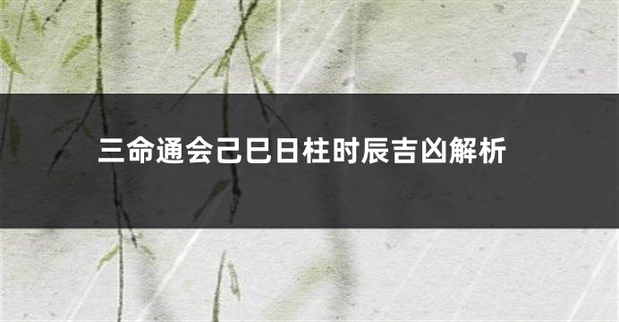 三命通会己巳日柱时辰吉凶解析