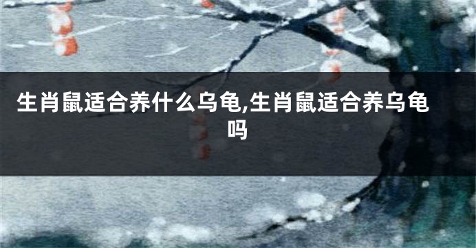 生肖鼠适合养什么乌龟,生肖鼠适合养乌龟吗