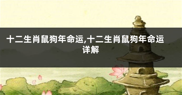 十二生肖鼠狗年命运,十二生肖鼠狗年命运详解
