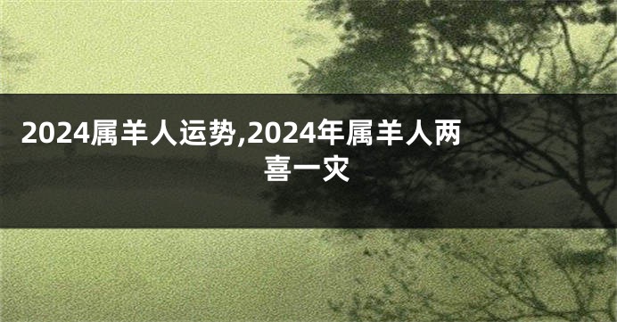 2024属羊人运势,2024年属羊人两喜一灾