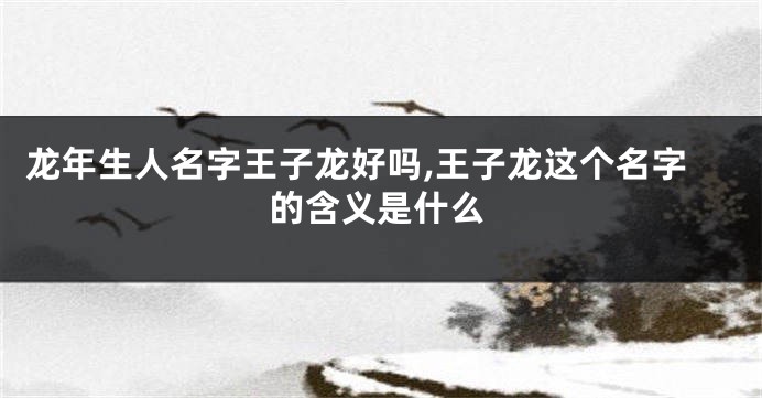 龙年生人名字王子龙好吗,王子龙这个名字的含义是什么