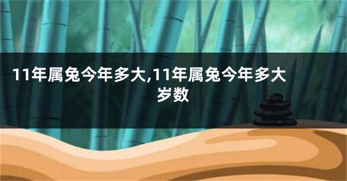 11年属兔今年多大,11年属兔今年多大岁数