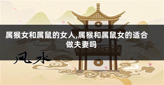 属猴女和属鼠的女人,属猴和属鼠女的适合做夫妻吗